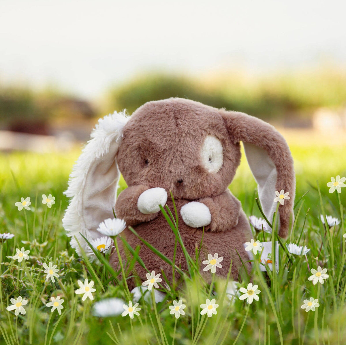 Baby Harriet Hare Bunny
