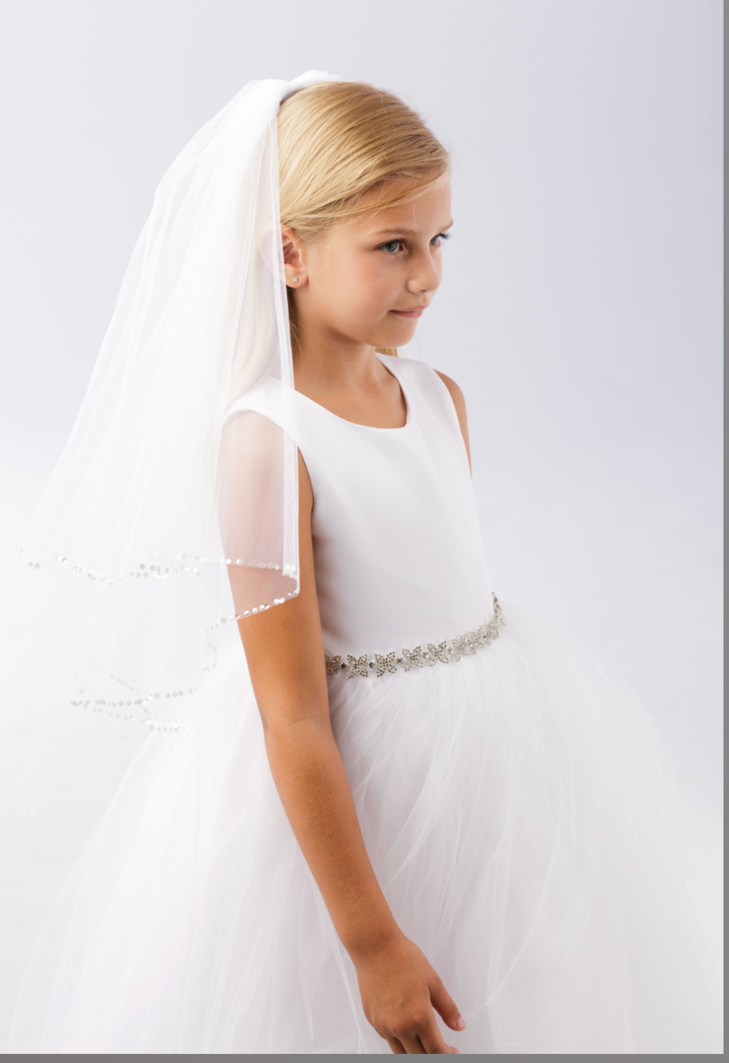 White Veil with Sequin Edge